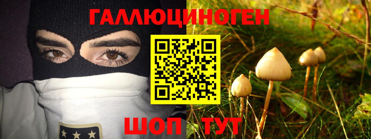 Псилоцибиновые грибы Psilocybe Сатка