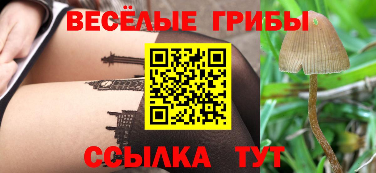 Галлюциногенные грибы прущие грибы  магазин    Сатка  Вход с VPN 
