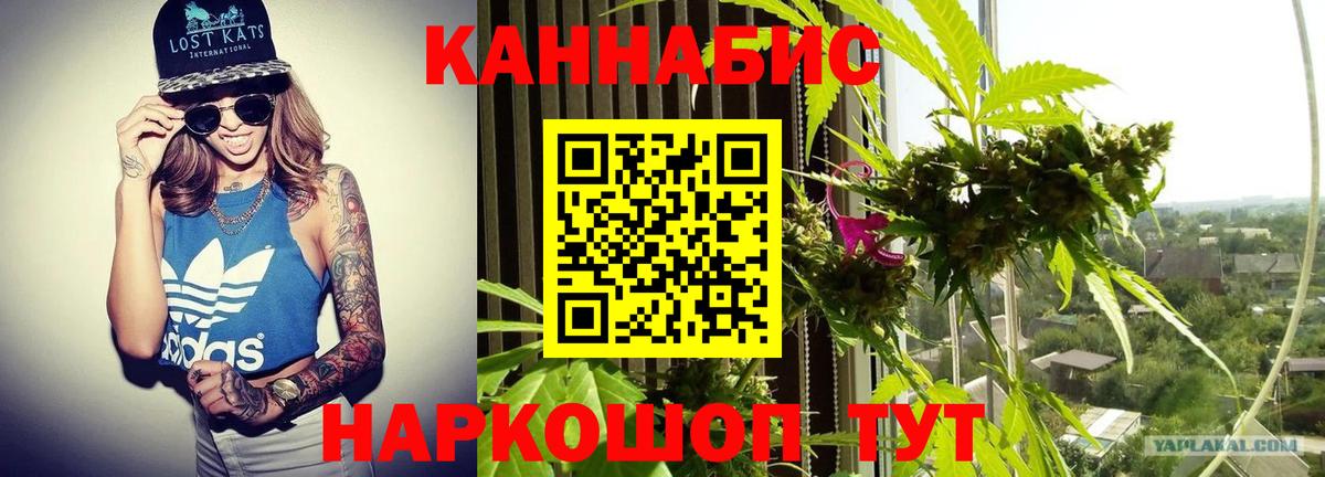 МАРИХУАНА OG Kush Сатка